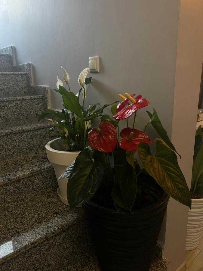 Villa Residence 크바리아티 외부 사진