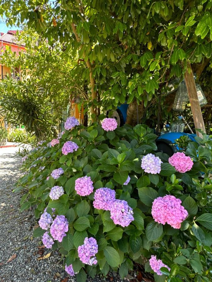 Villa Residence 크바리아티 외부 사진